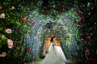 プラン オプション追加料 フォトウエディング クラルテ 山形県山形市のフォトウエディングスタジオ